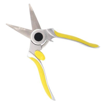 China Branch Anti-Slip Trimmer Cutter Hand Tool Garden Handle Pruner Stainless Steel Blades Straight Gardening Shears for sale