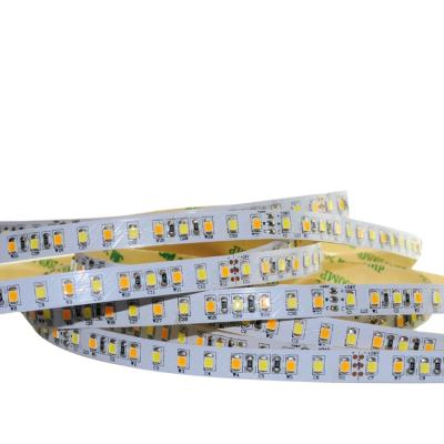 China Office smd2835 flexible led strip dual color led strip premium 2835-16.4 feet for sale