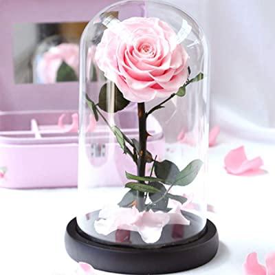 China A Grade Preserved Real Rose A Grade Preserved Real Rose Glass Dome Roses Preserved Lasting Rose Flower Valentine's Day Wedding Gift Hot Selling Dry Preserved For Mothers Day for sale