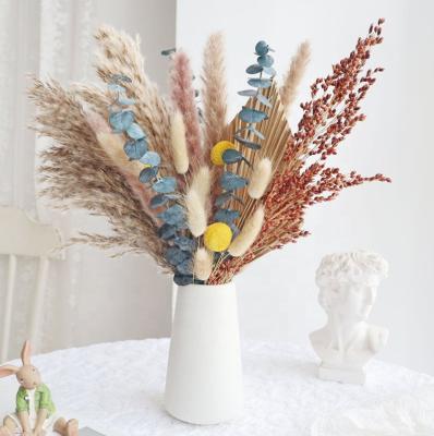 China Cheap Hot Sale Amazon Natural Pampas Grass Flower Free Sample Flower Dried Flower Bouquet Tubular Home Decorative Flowers Gift Preserved Flower for sale