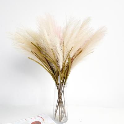 China Hot Selling Luxury Trend NEW From Amazon Pampas Grass Fake Flowers And Decorative Pampas Grass Garlands For Decoration for sale