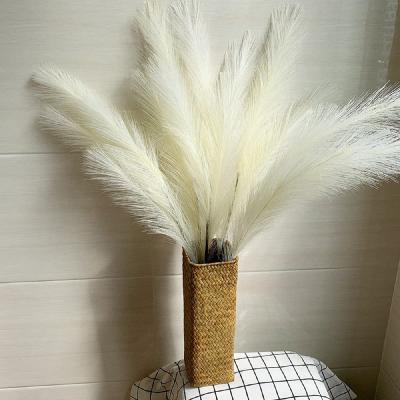 China Summer Soft And Beautiful Beautiful Flora Good Quality Soft And Beautiful Fake Pampas Grass Soft And Beautiful Artificial Pampas Grass For Also A Gift To Friend for sale