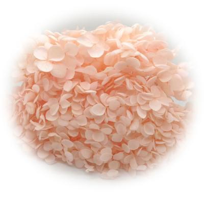 China Flora Factory Latest Flower Natural Preserved Hydrangea Bouquet Material Summer Bouquet Material For Wedding Decoration for sale