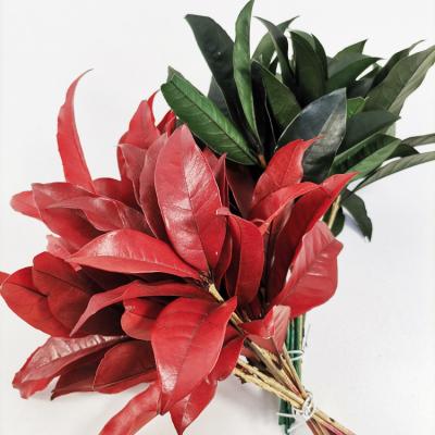 China Wedding Flower Arrangements Summer Flora 2020 Wedding Flower Arrangements Popular Gift Fresh Red&Green Leaf Preserved Flower Fragrans Leaves for sale