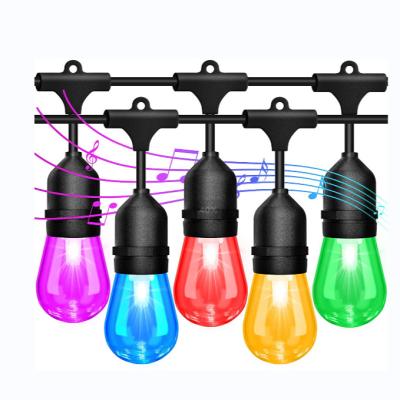 China New Arrival Outdoor Led Garden High Quality Fashion String Lights Garland String Light for sale