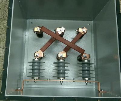 China Cover PU Ect P06 Medium Voltage Box Epoxy Covered Copper Busbar for Current Connection for sale