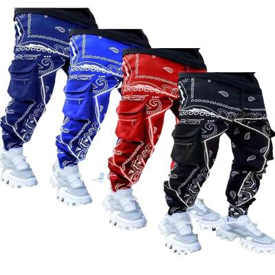 China 2 Cashew Flower Feet Breathable Warm Printed Harem Pants 2022 High Street Multi-pocket Loose Cargo Pants for sale