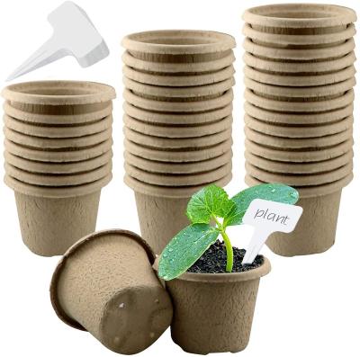 China 100% Organic Eco-Friendly ECO-FRIENDLY Garden Seedling Tray Kit Biodegradable Peat Germination Pots with Plastic Plant Markers Included for sale