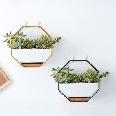 China Creative Simple Octagonal Wall Mounted Iron Flower Pot Ceramic Succulent Set Bump-resistant for sale