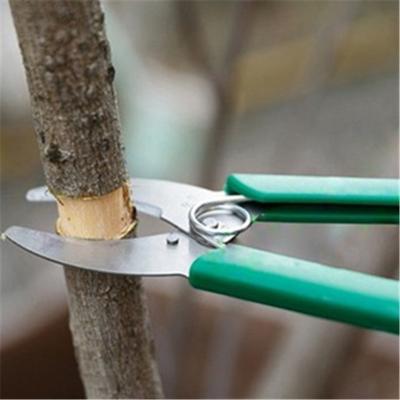 China Ring Cutter Scissor Girdling Knife Cherry Prunning Tool Shrub Handle Garden Fruit Anti-Slip Ring Branch Shears for sale