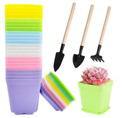 China Home Decor Succulents Plants Pots Square Plastic Flower Nursery Candy Potted Eco-Friendly Colorful Pallet Desktop Colors Planters Tools for sale