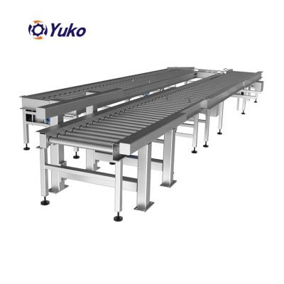 China Heat resistant straight running roller conveyor system for cargo, carton boxes, air conditioner, car wheels for sale