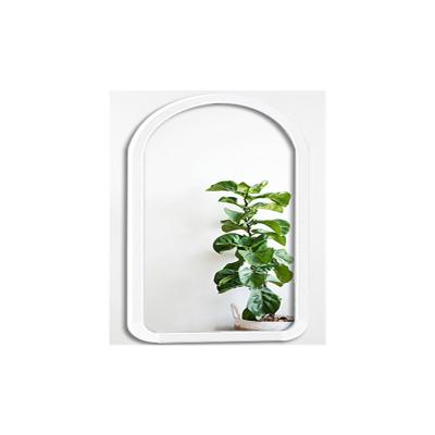 China Modern the most popular direct selling simple metal factory removable integral mirror for sale