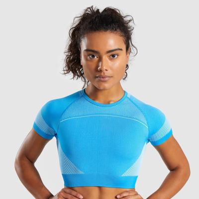 China Women 2021 Hot Selling Seamless Yoga Shirt Breathable Wholesale Cropped T-shirt Custom Logo Gym Yoga Shirt for sale