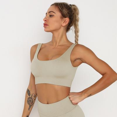 China Anti-pilling goods in stock! Europe and America stripe sleeve yoga tops fitness sportswear yoga seamless sexy running short sleeve bra for sale