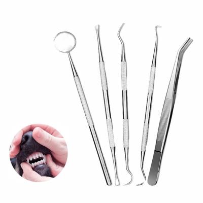 China Durable 5 Pieces Dog Tooth Scaler and Scraper Remover Pet Dental Teeth Cleaning Tools with Storage Box for sale