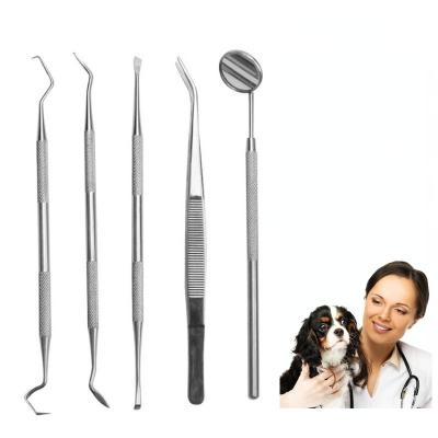 China Viable Pet Teeth Cleaning Pet Tool Stainless Steel Instruments Plaque Tartar Remover Remover Hygiene Set for sale