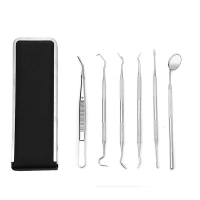 China Durable Teeth Cleaning Tools Plate Remover Dental Surgical Cleaning Teeth Oral Hygiene Kit Tools for sale