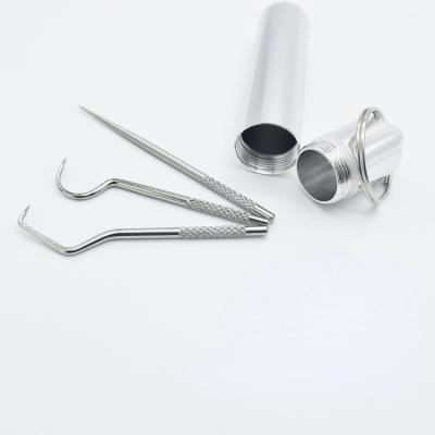 China Durable Stainless Steel Metal Toothpick Mini Oral Care Tools Portable Mouth Cleaner for Dentist for sale