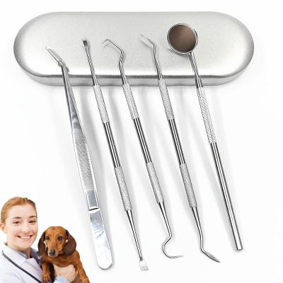 China Viable Pet Teeth Cleaning Stainless Steel Instruments Plaque Tartar Remover Dental Hygiene Kit for sale