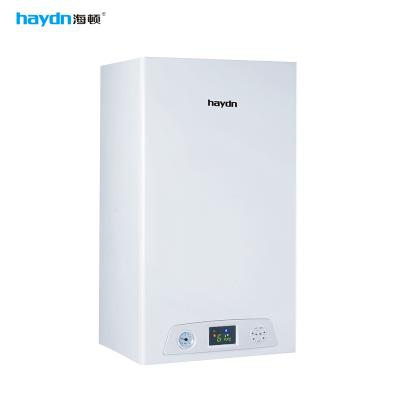 China China stainless steel haydn heating and hot water wall hung gas boiler Romania hot seller for sale