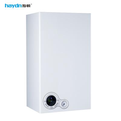 China Hotel Wall Hung Natural Gas Boiler Tankless Water Heater for sale