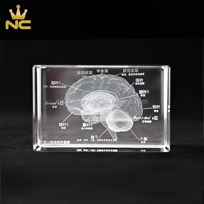 China Laser Crystal For Hospital Souvenirs From China Brain Model Design Engraving Glass 3D Block for sale