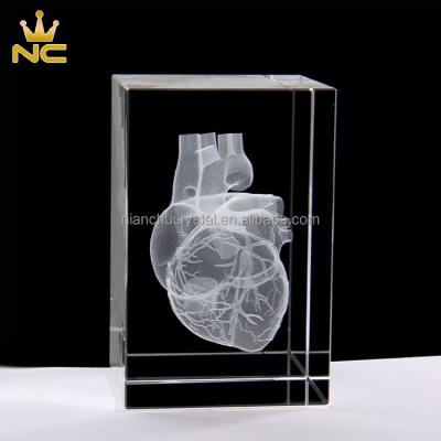 China China Heart Anatomy Model Crystal Engraving With Detailed Visible Crystal Cube 3D Laser Blood System for sale