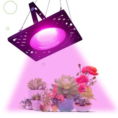 China Seed Starting Honeycomb 50W Plant Growth Lamp LED Full Spectrum Projector 50W Succulent Flower Planting Projection Lamp Solar Grow Lights for sale