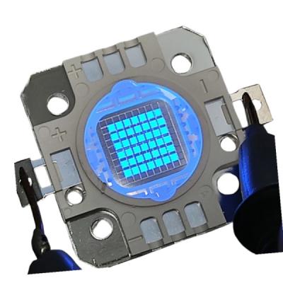 China 100W 460nm Chip Curing Blue COB lamp medical for Photon therapy device for sale