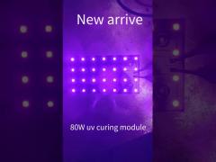 UV LED Module 80W led chip  for UV Led Printing System