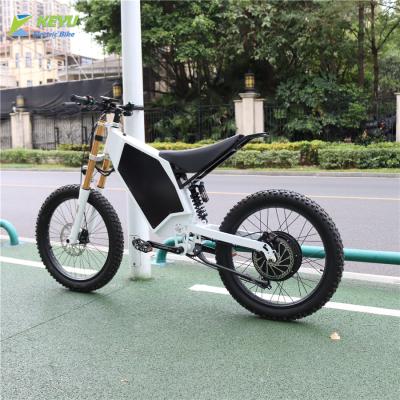 China Chinese cheap electric bike hidden lithium battery steel with TFT display for sale