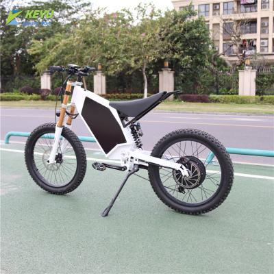 China New Style Dirt Bike Steel Cheap Chinese 2 Wheels Electric Motorbike With TFT Display for sale