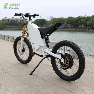 China Power Steel Stylish Strong Wheel Design Electric Bike With TFT Display for sale