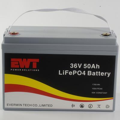 China Rechargeable LiFePO4 Lithium Ion Battery Pack 36V 50Ah 1760Wh Battery For Golf Cart for sale