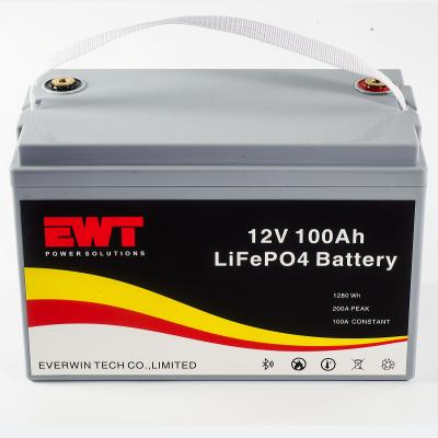 China Lifepo4 12V 100Ah Factory Rack Battery Pack With BMS for sale