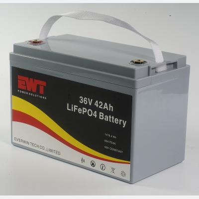 China Plastic Casing Lifepo4 Battery Pack 36V 42AH for Outdoor BBQ Energy Storage Power Supply for sale