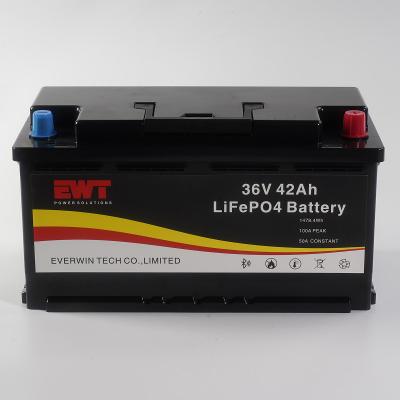 China Solid Quality Case LFP 36V 42AH Li-FePo4 Battery Pack Supply For Electric Boat Equipment for sale