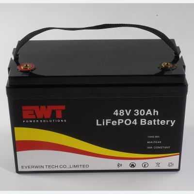 China Smart Battery Pack Capacity Display With BMS 48V 30AH Support Factory OEM Service for sale