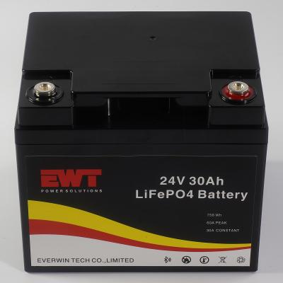 China Rechargeable Lithium Iron Phosphate 24V 30AH LiFepo4 Battery Cell for sale