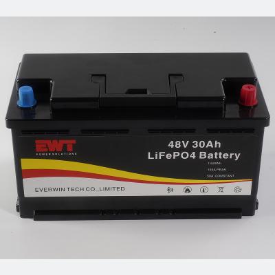 China Wide Range Voltage 48V Lithium Iron Phosphate Battery for Heavy-Duty Applications for sale