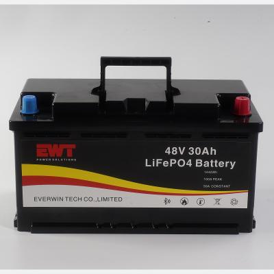 China 48V Lithium Iron Phosphate Battery Rechargeable and High Capacity for Heavy Duty Applications for sale