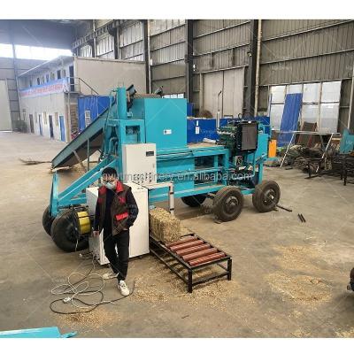 China 25kg Wheat Rice Husks Hulls Bagging Press Packing Machine for Packing Alfalfa Hay Straw for sale