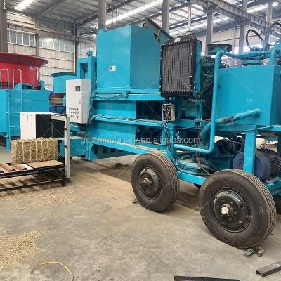 China Wood Sawdust Hay Baler Bagging Machine Equipment with 80-120 Bales Capacity and PLC for sale