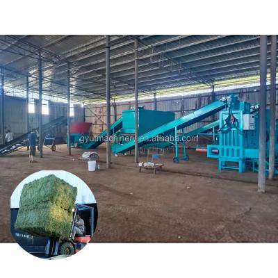 China Poultry Feed Line Processing Square Corn Silage Packing Machine for Energy Mining 30-60kg for sale