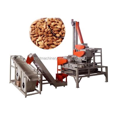 China 230 KG Automatic Pecan Kernel Peeling Machine Hard Shell Cracker for Walnut Shelling for sale