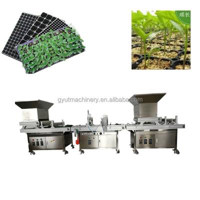 China 8 Rows Vegetable Seed Planter with Discount Cabbage Seed Sower Nursery Sowing Machine for sale