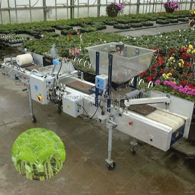 China 1140*850*1050mm Size Agriculture Microgreens Seeder Machine for Tomato Seed Planting for sale