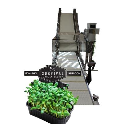 China 2024 Baby Leaf Lettuces From Trays Of Greenhouse Grown Microgreens Harvesting Machine for sale