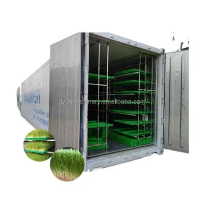 China 650 KG Capacity Barley Grass Growing Machine for Container Hydroponic Fodder System for sale